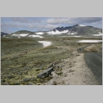 Arctisch landschap in nationaal park Dovre-Sunndalsfjella